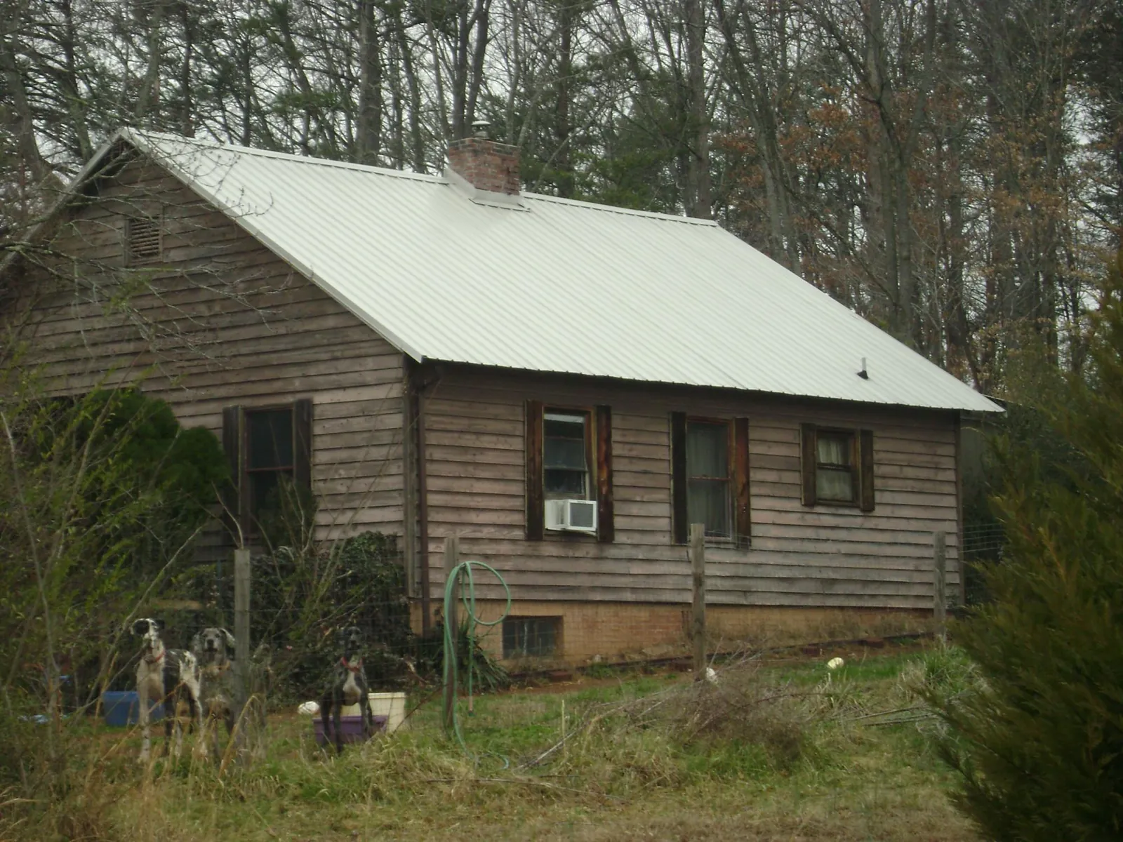 White metal roof on an old wood sided farmhouse, from a Asphalt Shingle Roof Repair job in Blacksville